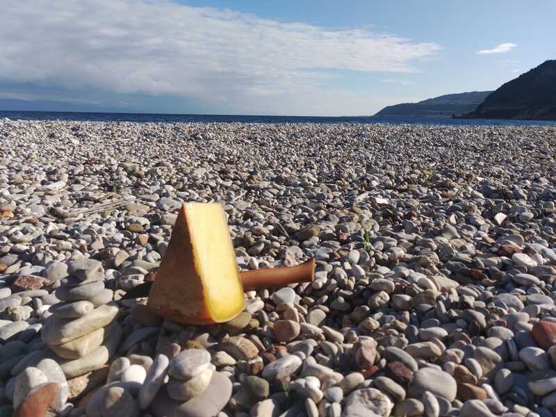 Ein Stück Käse am Kiesstrand