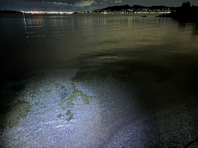 Morgenstimmung am Meer