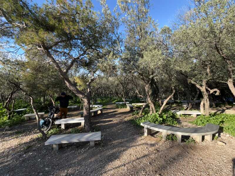 Bänke zwischen Olivenbäumen