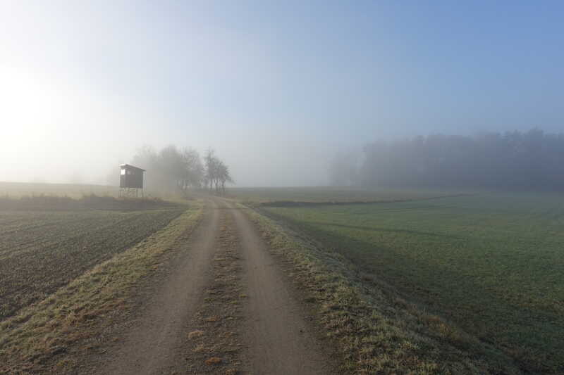 Morgenstimmung mit Sonne und leichten Nebelschleiern